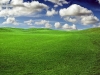 test_backgrounds_20090629_1226481095